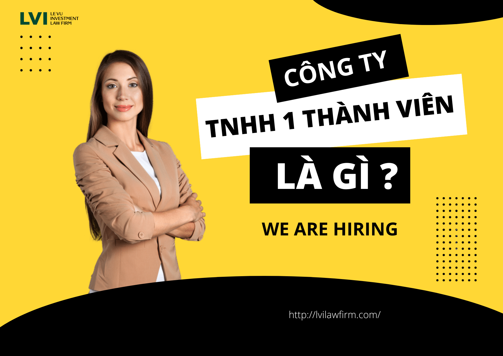 Công ty trách nhiệm hữu hạn một thành viên là gì - LVI Law Firm