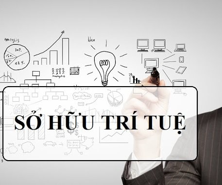 BẢO HỘ QUYỀN SỞ HỮU TRÍ TUỆ TRONG HOẠT ĐỘNG THƯƠNG MẠI QUỐC TẾ CỦA DOANH NGHIỆP: NHÌN TỪ THỰC TIỄN DOANH NGHIỆP VIỆT NAM