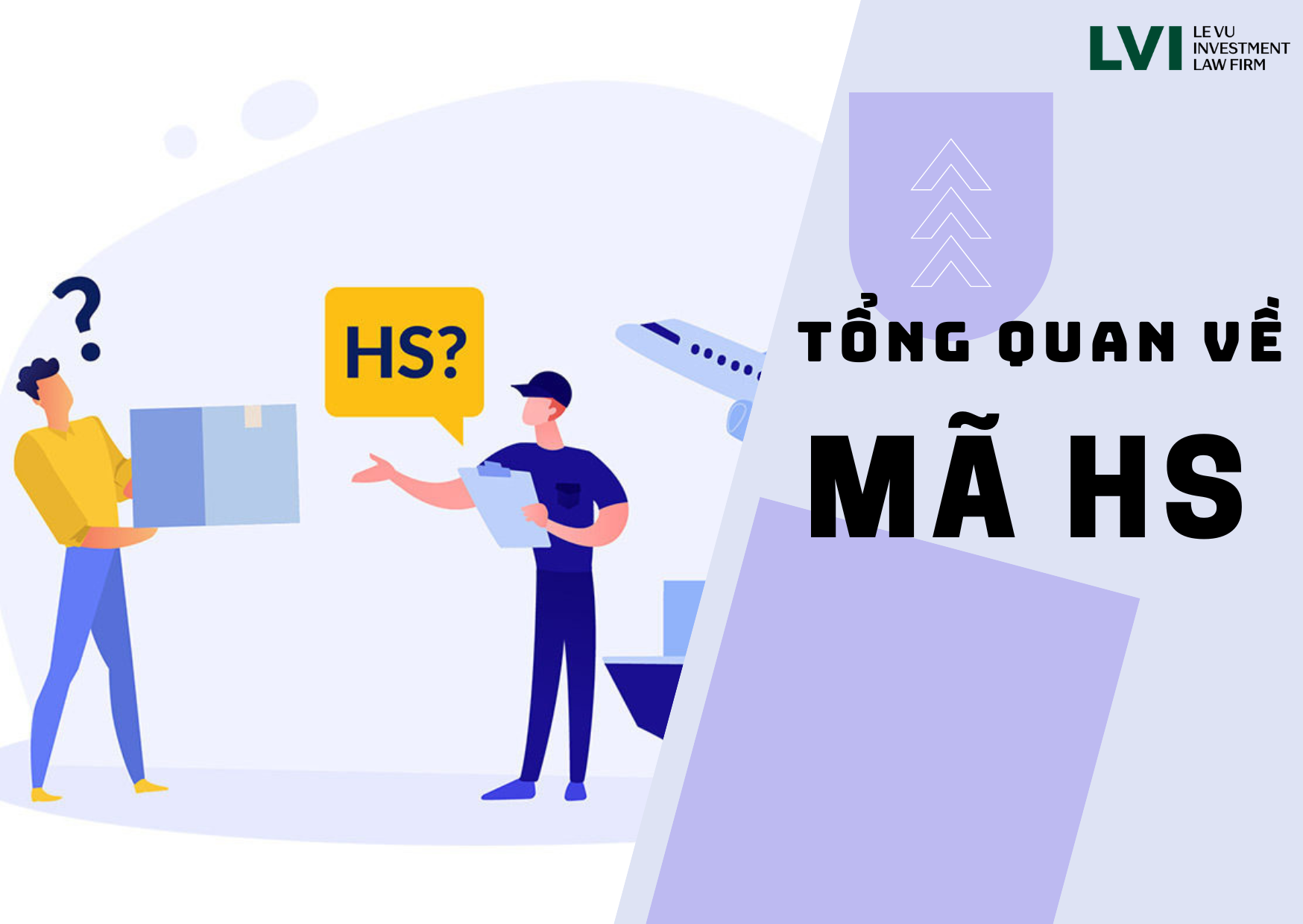 Tổng quan về mã HS code - LVI Law Firm